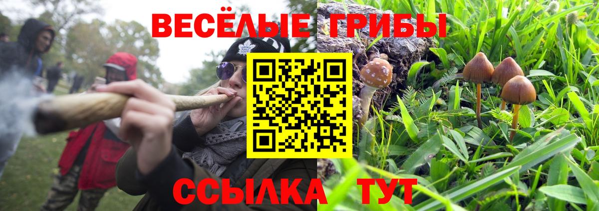 Галлюциногенные грибы ЛСД  Псилоцибиновые грибы Psilocybine cubensis  Вход с VPN  Симферополь 